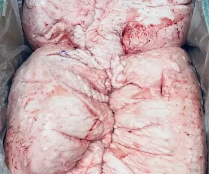 HALAL LAMB TAIL FAT FOR SALE