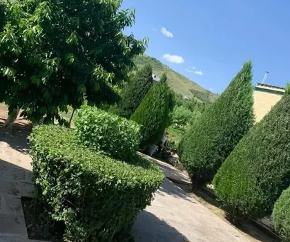 Ագեգործություն, այգեպան, այգեգործական ծառայություններ, այգեգործ, բույսերի և ծառերի խնամք