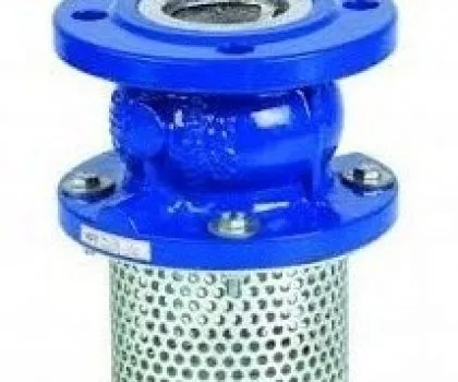 FOOT VALVES IN KOLKATA