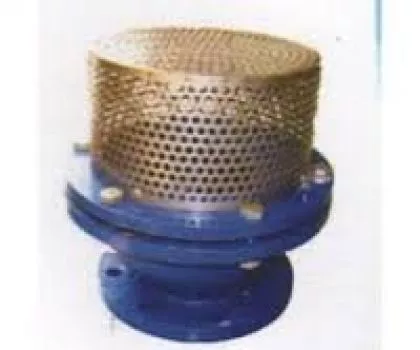 FOOT VALVES SUPPLIERS IN KOLKATA