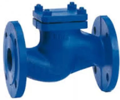 NON RETURN ( NRV ) VALVES SUPPLIERS IN KOLKATA