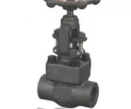 STEAM VALVES IN KOLKATA