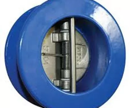 DUAL PLATE CHECK VALVES IN KOLKATA