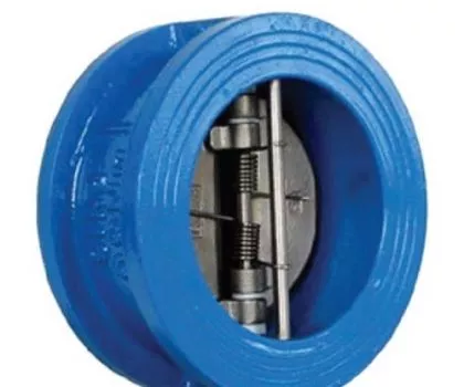 DUAL PLATE CHECK VALVES SUPPLIERS IN KOLKATA