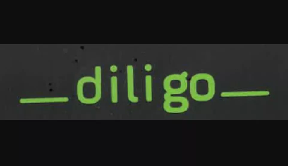 Category C+E driver in Poland, Diligo Korycinski company