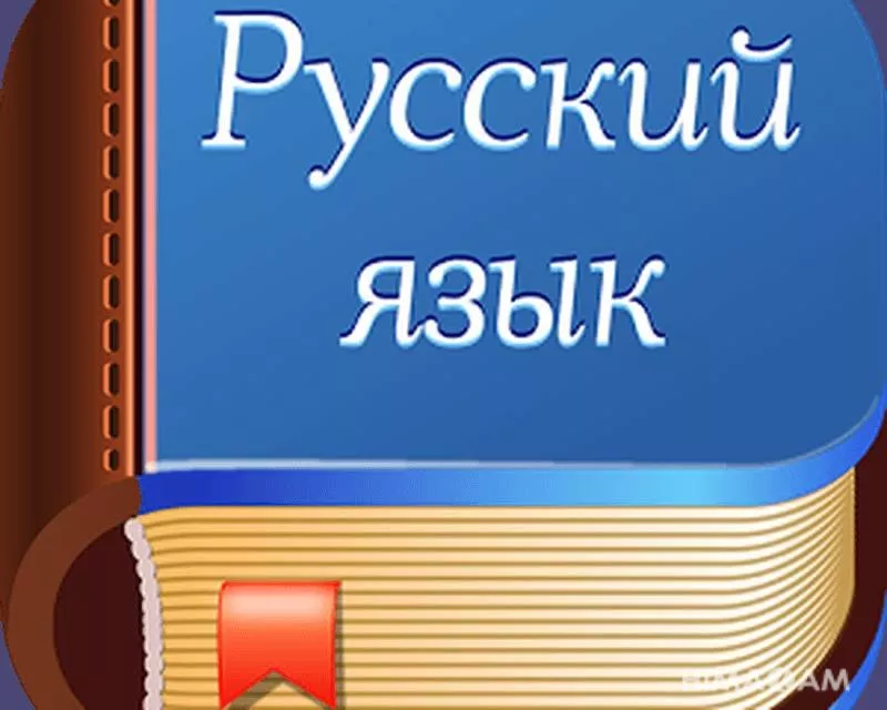 Уроки русского языка, уроки русского языка, курсы русского языка, преподавание русского языка.