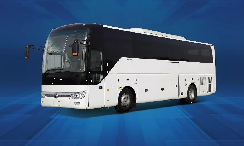 Custom buses