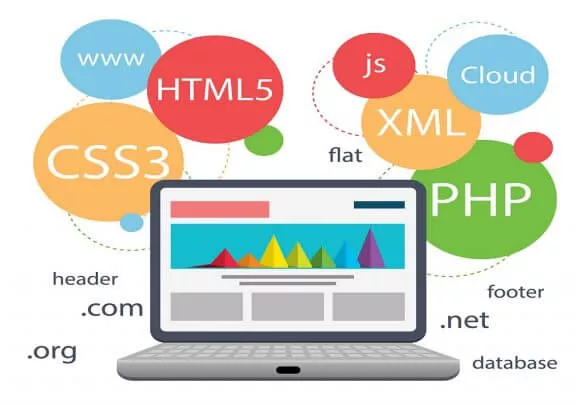 Web design das@ntacner daser usucum / Web ծրագրավորման դասընթացներ դասեր ուսուցում