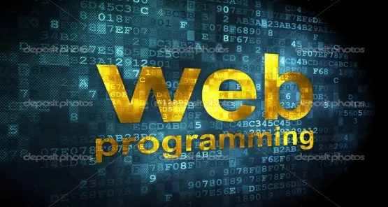 Индивидуальный веб-курс: PHP, JavaScript, HTML, CS