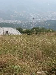 Տնամերձ հողամաս