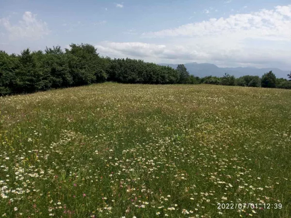 Հողատարածք
