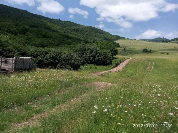Հողատարածք