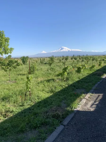 Հողատարածք
